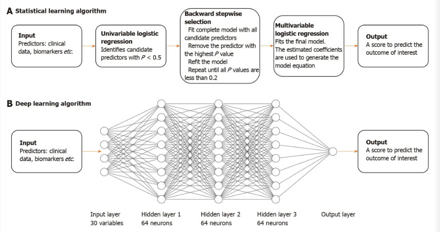 Algorithms Verse Models Image