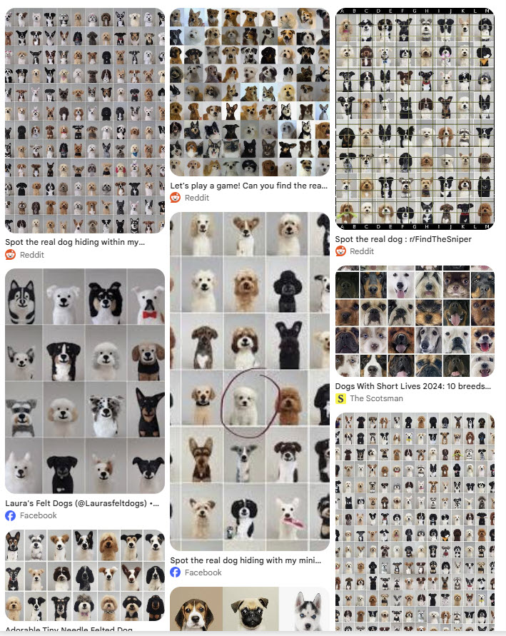 Living Dogs Image