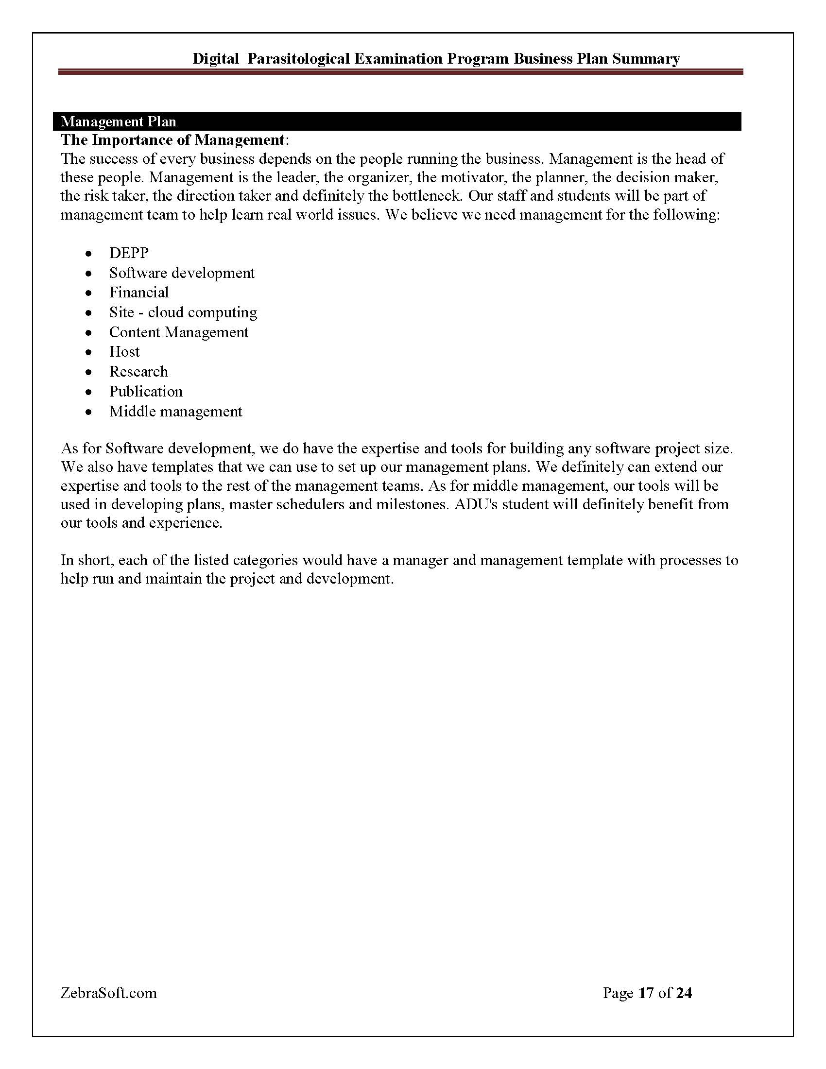 Business Plan 17