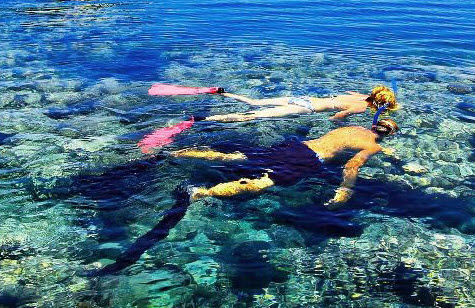 Ras Mohammed National Park Snorkeling