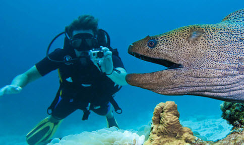 Sharm El sheikh One Day Diving Course