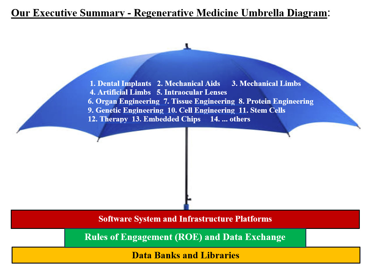 Executive Summary Umbrella Diagram