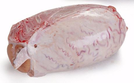 Beef Testicles