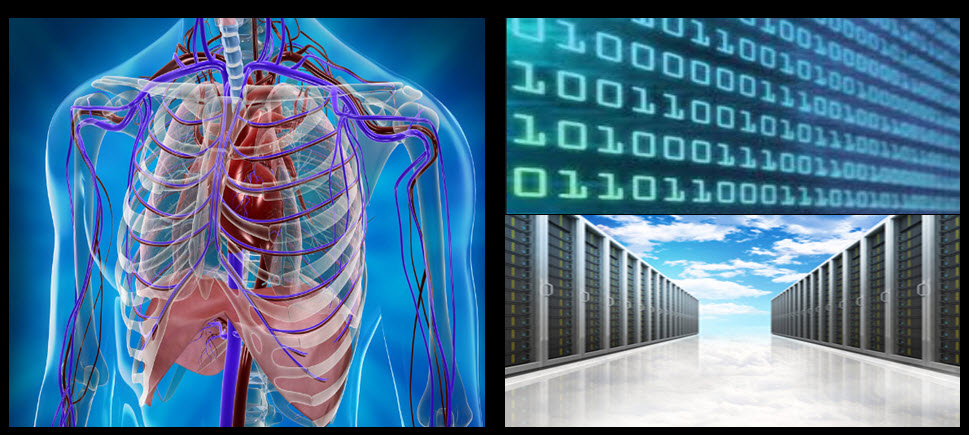 Data and Blood Cells