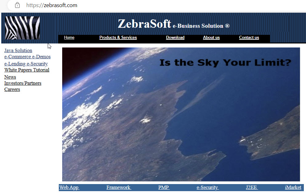 ZebraSoft Website